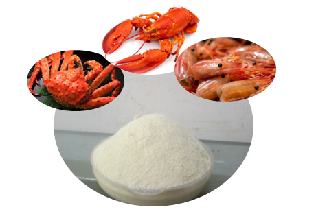 Chitosan Market Worth US$ 6.6 Billion in 2032, Growing at a CAGR of 10.8%